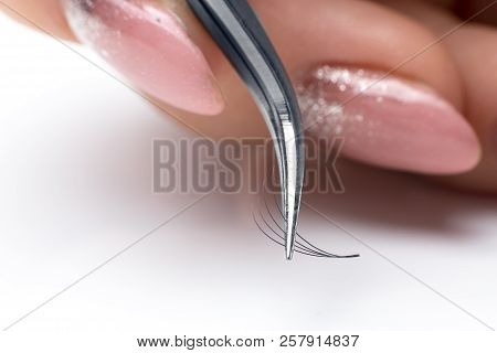 Closeup Eyelash Extension Tweezers Tools On White Background. Artificial Lashes 4d.