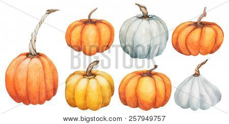 Pumpkin. Watercolor Hand painted pumpkin for halloween and Fall on white background. Autumn harvest. Vegetarian raw food