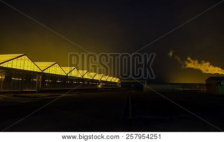 The Facade Of The Greenhouse In Night Time