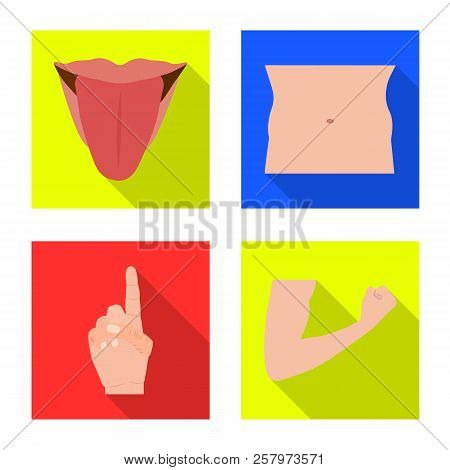 Vector Illustration Of Human And Part Sign. Set Of Human And Woman Stock Symbol For Web.