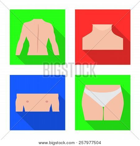 Vector Illustration Of Human And Part Sign. Collection Of Human And Woman Stock Vector Illustration.