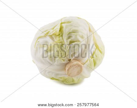 White Cabbage Isolated On White Background One Whole Head