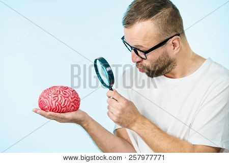 Adult Nerd Man Wearing Eyeglasses Looking At Human Brain Model. Thinking And Intelligence Conept
