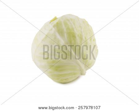 White Cabbage Isolated On White Background One Whole Head