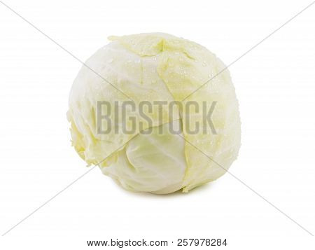 White Cabbage Isolated On White Background One Whole Head