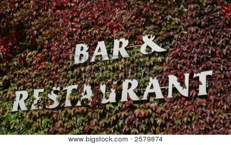 Bar a restaurace