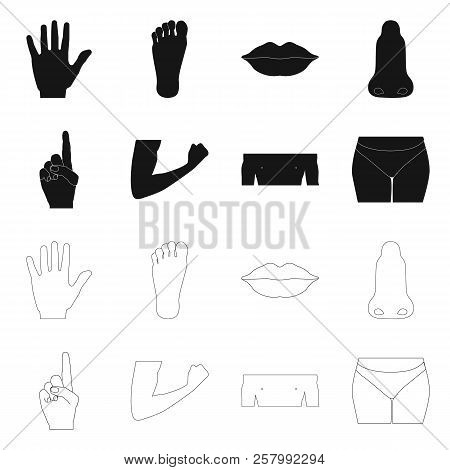 Vector Illustration Of Human And Part Symbol. Set Of Human And Woman Vector Icon For Stock.