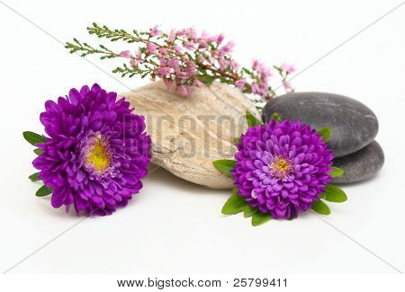 Blomster og sten, isoleret på hvid.