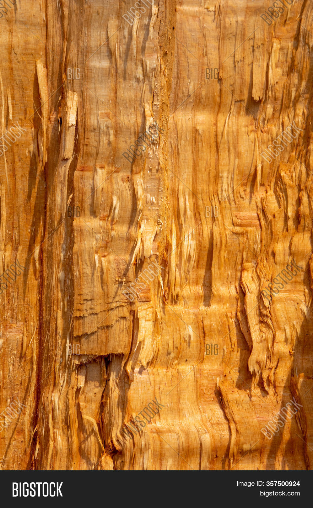 Background Split Wood Image & Photo (Free Trial) | Bigstock