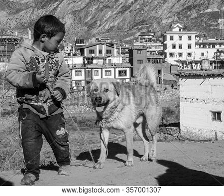 Boy And His Dogs In Nepal
