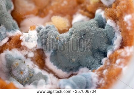 Mold In A Jar With Zucchini Caviar Top View. Mold On Products. Microscopic Mushrooms That Live On Fo