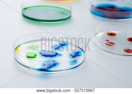 Drops Of Colorful Liquid On Petri Dishes. Culture Plates With Reagents For Research Under Microscope