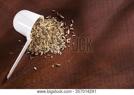 Foeniculum Vulgare - Dry Organic Fennel Seeds
