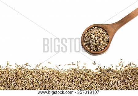 Dried Fennel Seeds In The Wooden Spoon - Foeniculum Vulgare