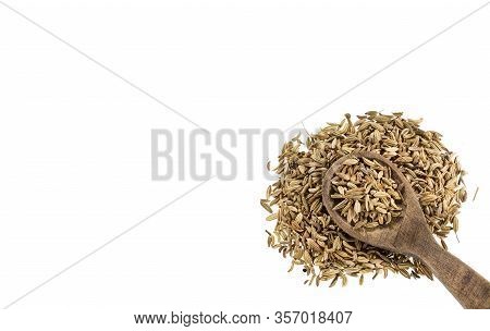 Foeniculum Vulgare - Dry Organic Fennel Seeds