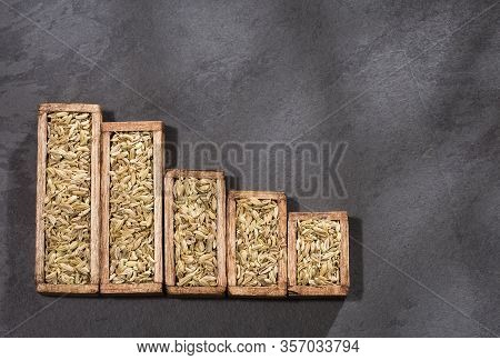 Low Consumption And Sale Of Dried Organic Fennel Seeds - Foeniculum Vulgare