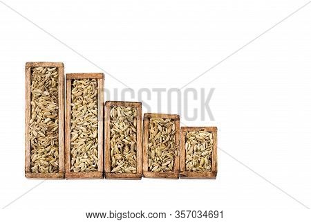 Low Consumption And Sale Of Dried Organic Fennel Seeds - Foeniculum Vulgare