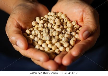 Raw White Dried Chickpeas, Cicer Arietinum, In The Hands Forming Heart Shape On The Black Background
