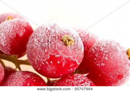 frutta congelata nel ghiaccio