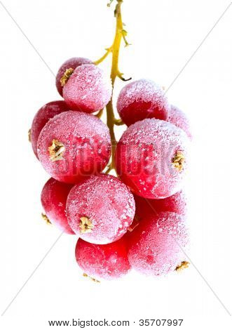 frutta congelata nel ghiaccio