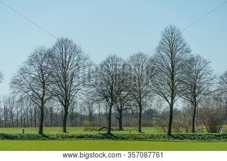 spring time in the german muensterland near borken