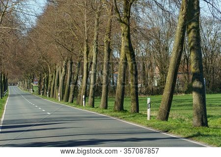 spring time in the german muensterland near borken