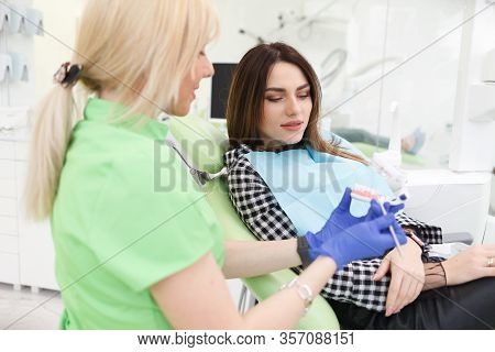 Dentist Doctor Shows The Patient A Jaw Model And Talks About The Upcoming Treatment.