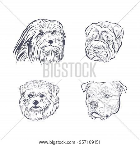 Dog Heads Collection Vector Sketch. Purebred Dog Faces Isolated On White Background.