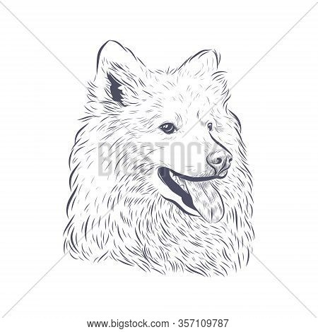 Samoyed Dog Vector Isolated. Samoyed Dog Head Panting On White Background.