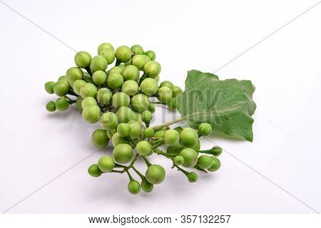 Solanum Torvum On A White Background.