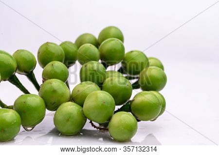 Solanum Torvum On A White Background.