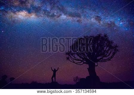 Night landscape of quiver tree forest near Keetmanshoop in Namibia at sunset