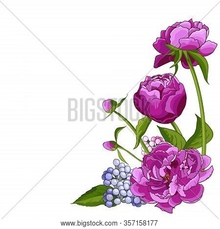 Frame With Pink Pionies, Leaves, Buds. Flower Frame. Floral Motif Border. Idea For Event Invitation,