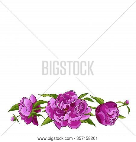 Frame With Pink Pionies, Leaves, Buds. Flower Frame. Floral Motif Border. Idea For Event Invitation,