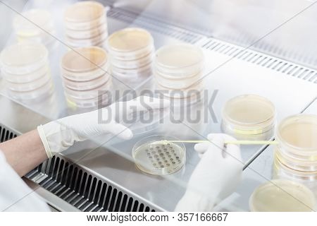Female Scientist Working With Laminar Flow At Corona Virus Vaccine Development Laboratory Research F