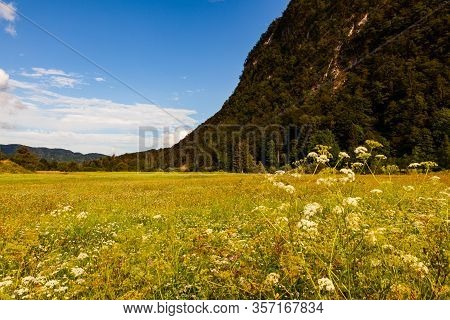 View Of Slovenian Landscape In Bohinj. Slovenia