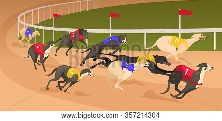 Running Dog Of Different Breed In Coursing Dress. Dog Race Concept.