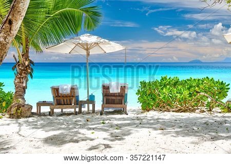 Beautiful Petite Anse beach with palm tree at Seychelles, Mahe