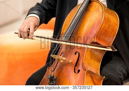 String Musical Instrument, Viola - Large Violin, Close Up.