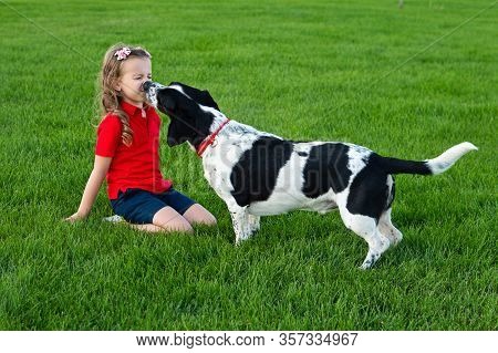 Hunting Dog Kisses His Little Mistress. Child And His Beloved Pet Spend Time Outdoors. Cute Photo Of