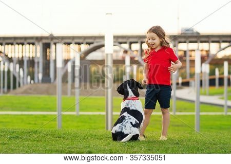 Lovely Young Girl In Red T-shirt With A Hunting Dog The Walk In The Green Grass On A Sunny Lawn. Chi