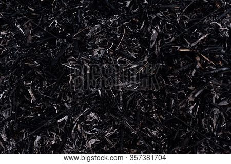 Black Burnt Grass For Your Design Background