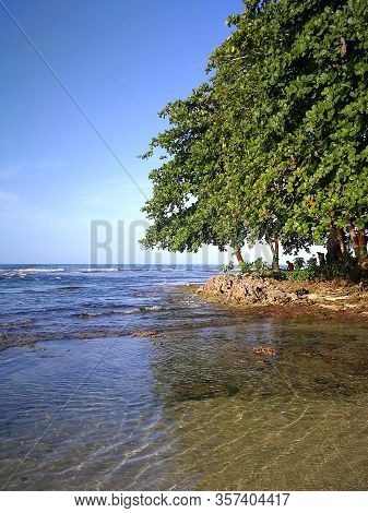 Beach with clear water an palm trees, Costa Rica