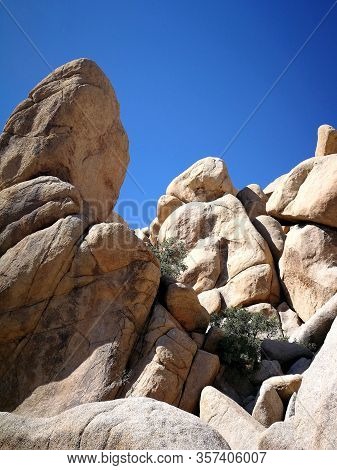 Joshua Tree National Park California at spring