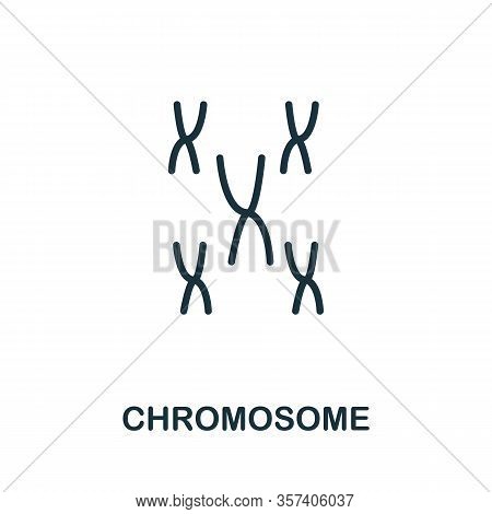 Chromosome Icon. Simple Line Element From Biotechnology Icons Collection. Outline Chromosome Icon Fo