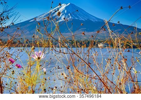 Asian Travel Destinations. Renowned  Attractive Fuji Mountain Near Kawaguchiko Lake In Japan With Li