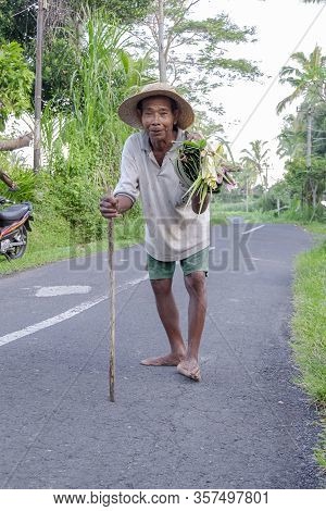Indonesian Old Man Carrying Palm Tree Leaves, In The Middle Of The Road. Indonesia, July 2nd 2016.