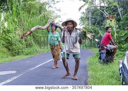Indonesian Old Man And Old Woman Carrying Palm Tree Leaves, Logs And Water In The Middle Of The Road