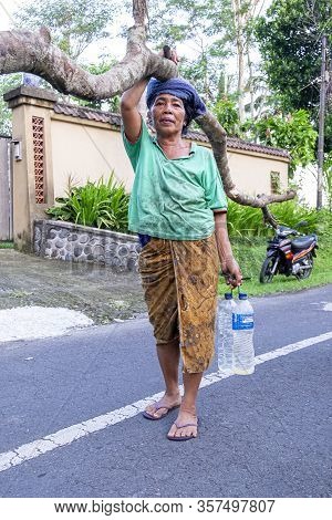 Indonesian Old Woman Carrying Palm Tree Logs And Water In The Middle Of The Road. Indonesia, July 2n