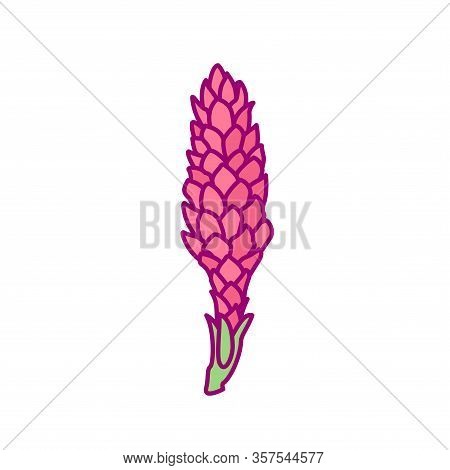 Vector Handdrawn Cute Plant Clip Art Exotic Flower